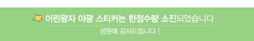 어린왕자 소진.jpg