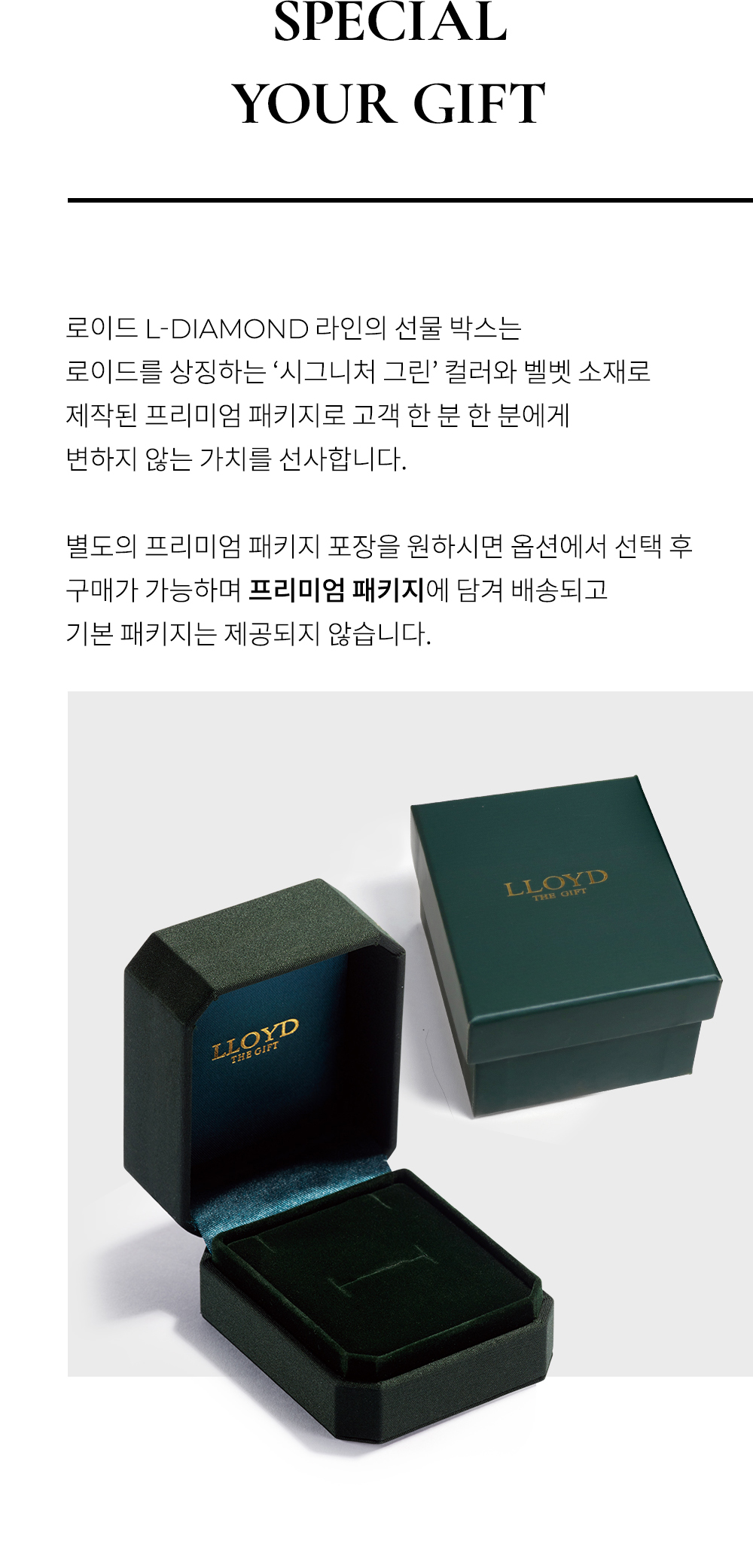 패키지옵션.jpg