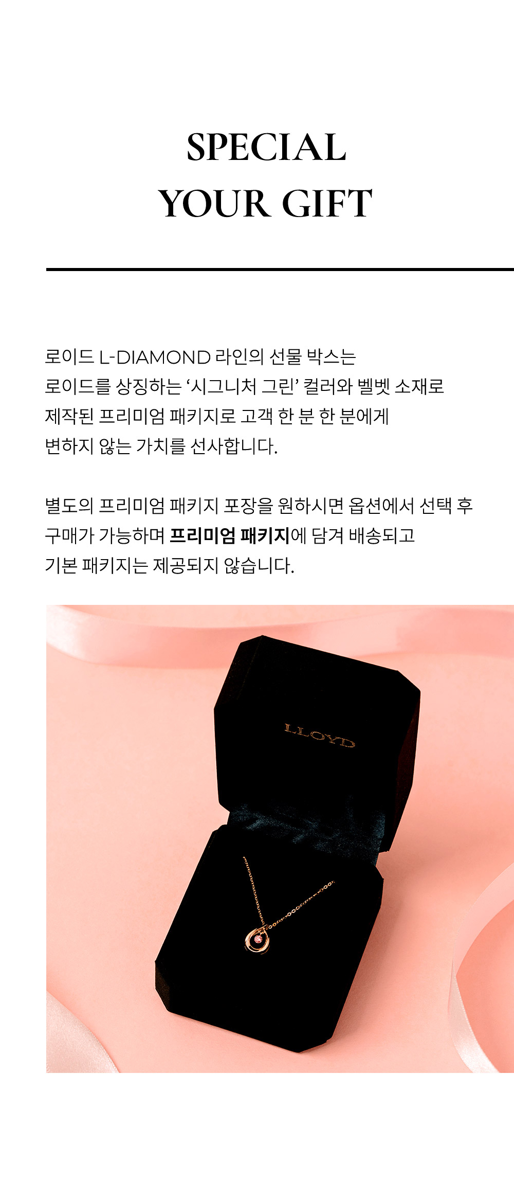 LNF22013D_1_패키지_옵션.jpg